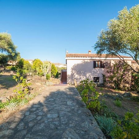 Villa Lilly Olbia Exterior foto
