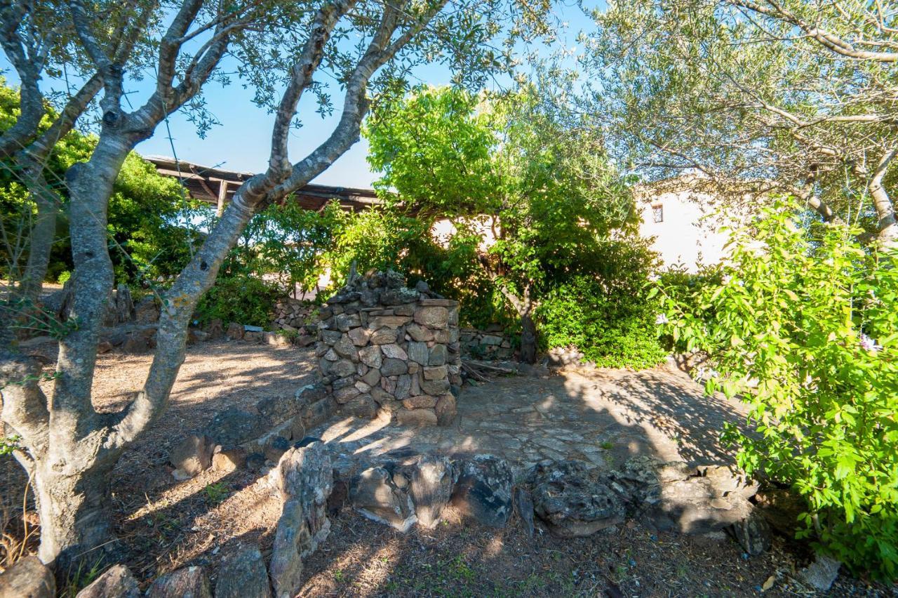 Villa Lilly Olbia Exterior foto